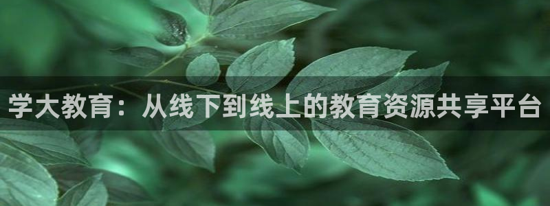新宝5娱乐招商