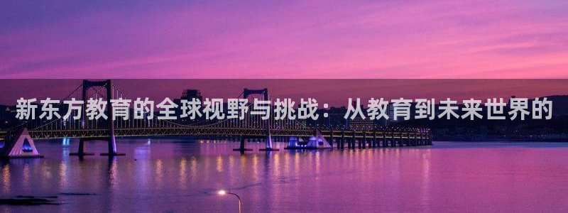 菲律宾新宝5老板
