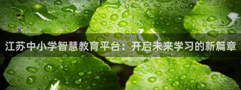 新宝5app手机下载