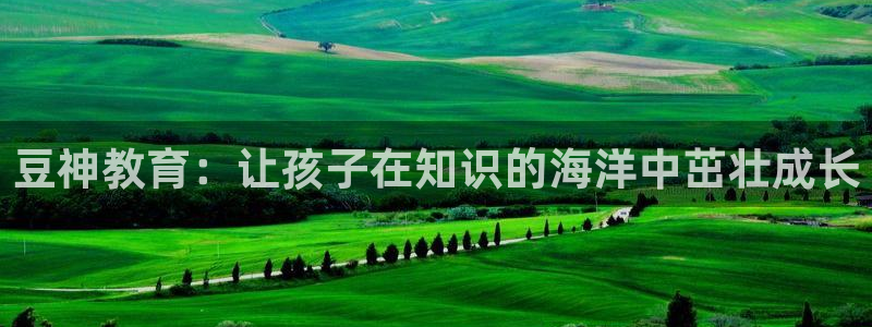 新宝5测速线路
