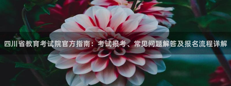 新宝5娱乐平台