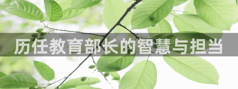 新宝5平台霸