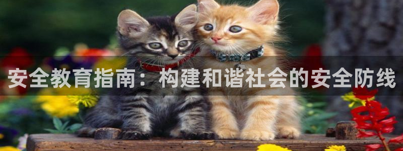 新宝5测速登陆