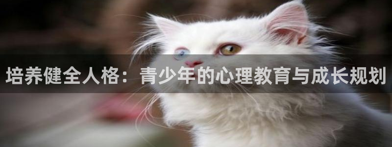 新宝娱乐5入口