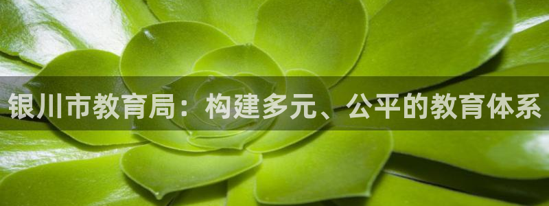 新宝5官网平台