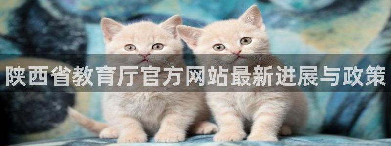新宝5手机版
