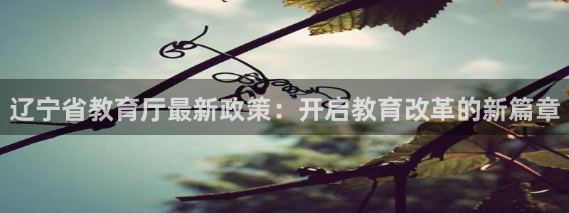 新宝5娱乐同