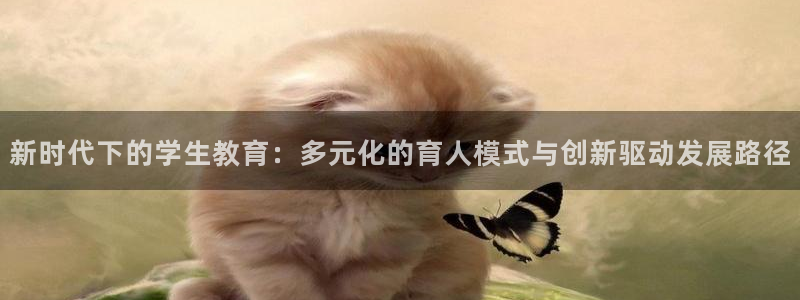 新宝5的网址