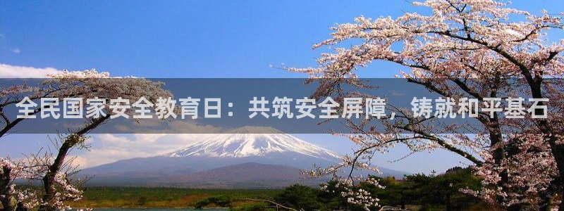 新宝5挂机软件