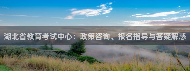 新宝5是什么样子的