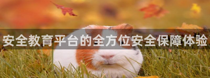 新宝5娱乐没