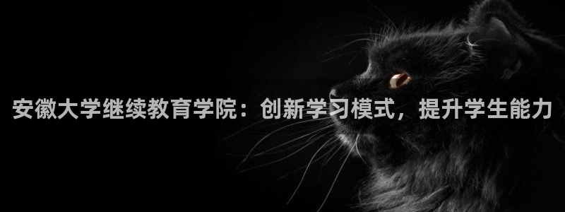 新宝5是谁的