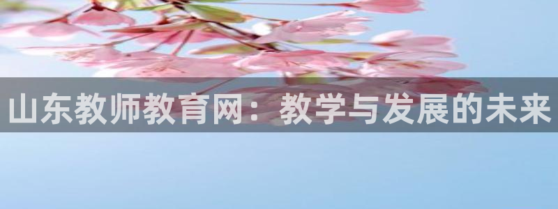 新宝5娱乐网址
