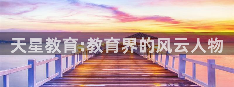 新宝5安卓版