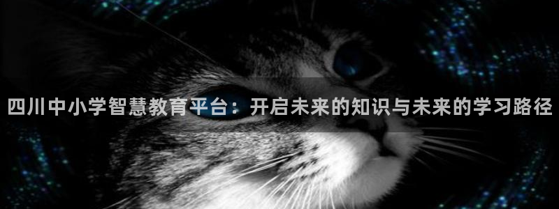 新宝5王问74OOO5