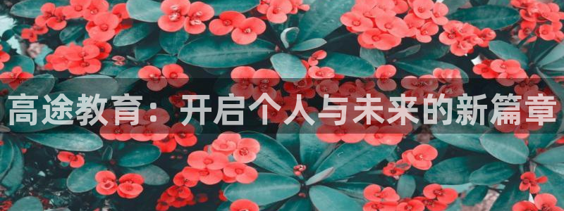 新宝股东瞧听2 5 5