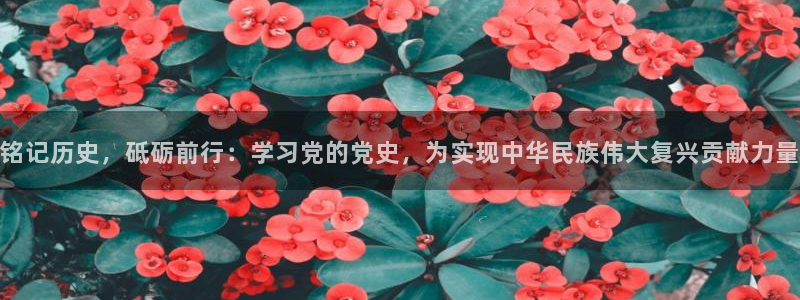 下载新宝5
