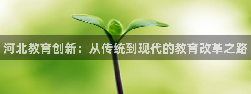 新宝娱乐5入口