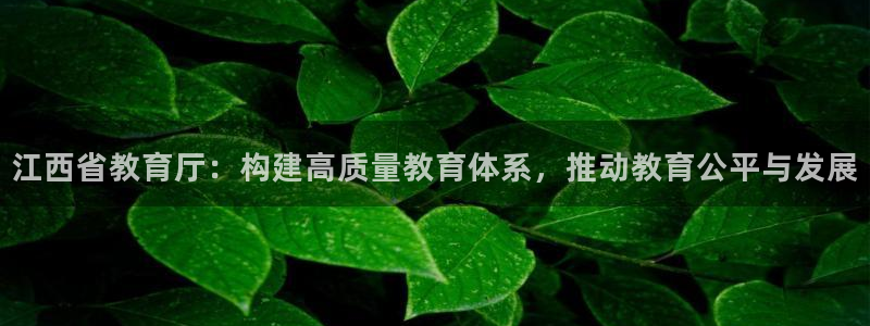 新宝5娱乐代理