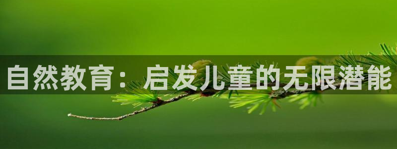 新宝5下载网址