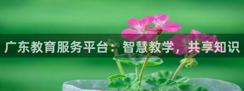 新宝5源码