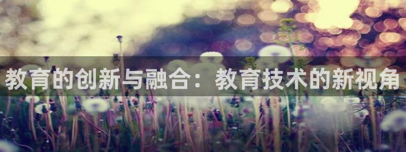 新宝5源码