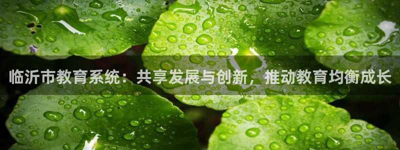 新宝堂新会陈皮5年